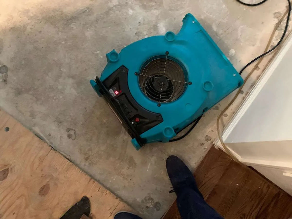 Air mover drying subfloor during Commercial Water Damage Restoration in San Lorenzo